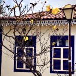 Ipê amarelo floresce diante de casarão centenário - DSC6805