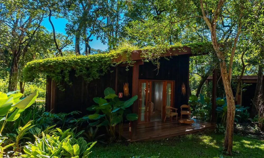 Boarã Lodge: conforto, café e natureza em perfeita harmonia - IMG 4223