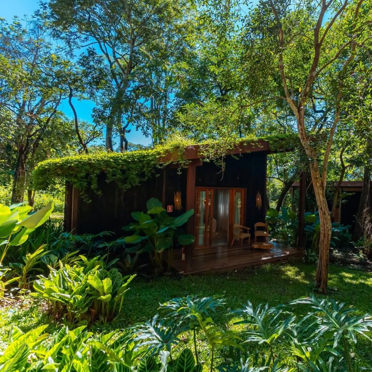 Boarã Lodge: conforto, café e natureza em perfeita harmonia