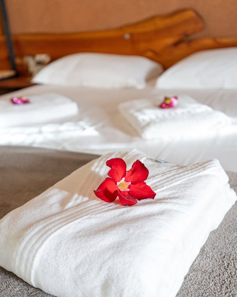 Espaço Morro do Frota: Charme, conforto e natureza - IMG 4561