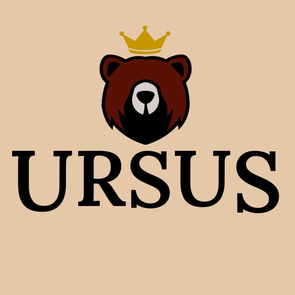 Ursus Burger: hambúrgueres artesanais com o toque suíço - Imagem do WhatsApp de 2025 08 11 as 22.36.16 19065d8e