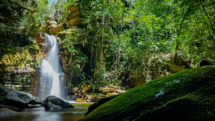 Reserva Andorinhas: natureza pura a 4 km do centro de Pirenópolis