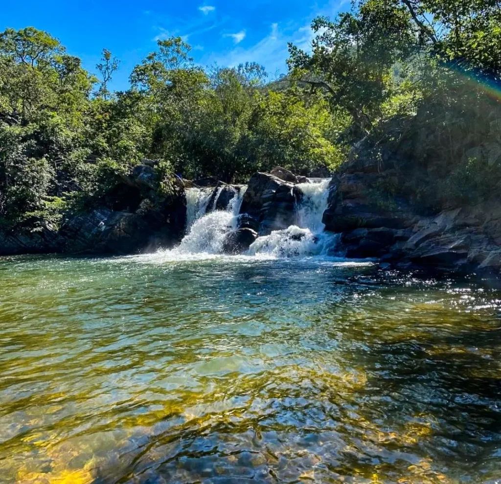 6 Cachoeiras Imperdíveis de Pirenópolis - araras