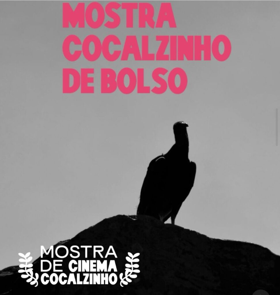 Mostra de Cinema Cocalzinho 2025 celebra audiovisual regional - ed1705be 58e1 4f7a 9e30 a4133967c491