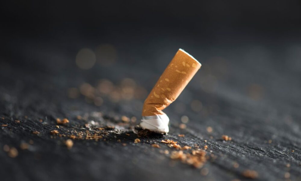 Segure as pontas! Bitucas no cerrado podem virar incêndio - jii 2025 08 02T114627.475