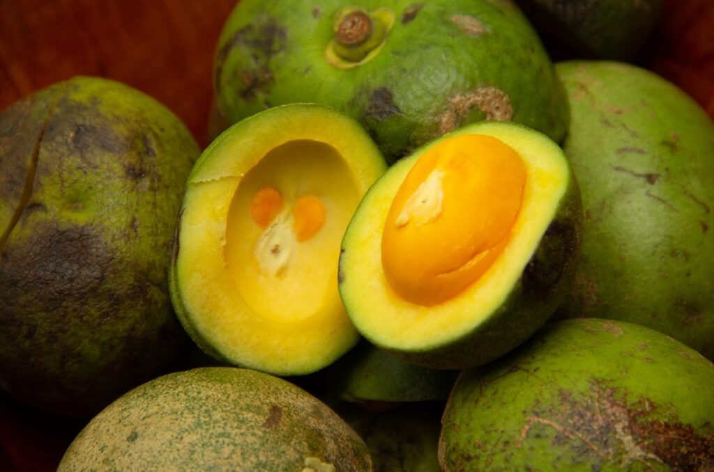 Arroz com pequi: combinação que é puro Cerrado - jii 2025 08 17T080810.444