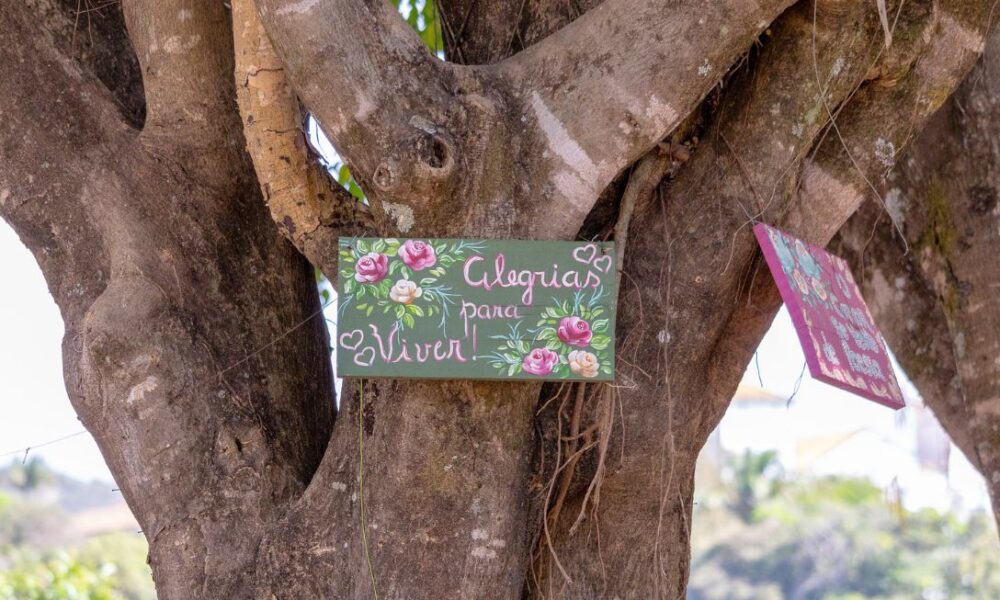 Alegrias para viver: um lembrete poético nas ruas de Piri - jii 2025 08 29T080858.096