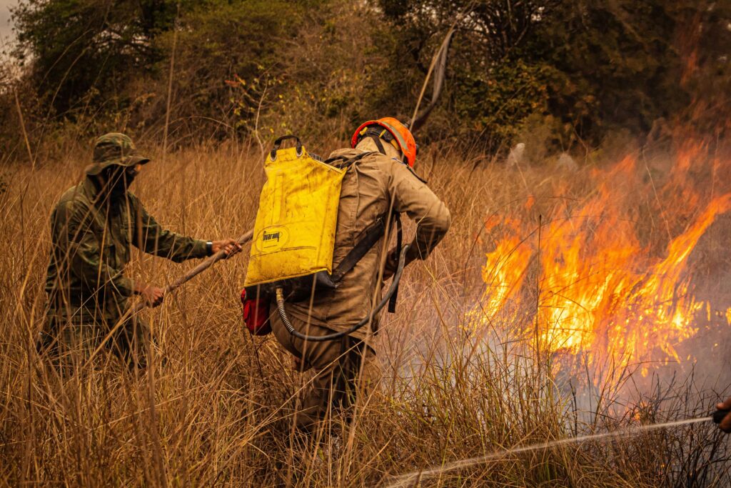 Formação gratuita de brigadistas na Serra dos Pireneus - pexels bombeirosmt 33425566