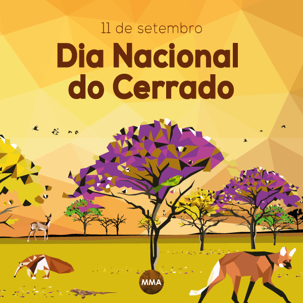 Dia do Cerrado será celebrado em Pirenópolis com ações ambientais e culturais - 11 de setembro