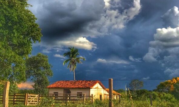 Ontem caiu uma chuva tímida em Pirenópolis: seria a chuva do caju? - 54435643 1318350468290142 7034518997571731456 n