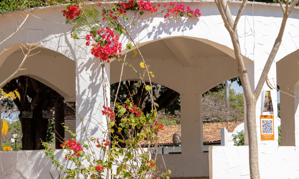 Bougainville emoldura charmoso coreto no coração de Pirenópolis - 6