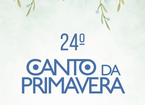 Pegue seu vídeo no Portal Piri e compartilhe sua alegria - Captura de tela 2025 09 15 200647