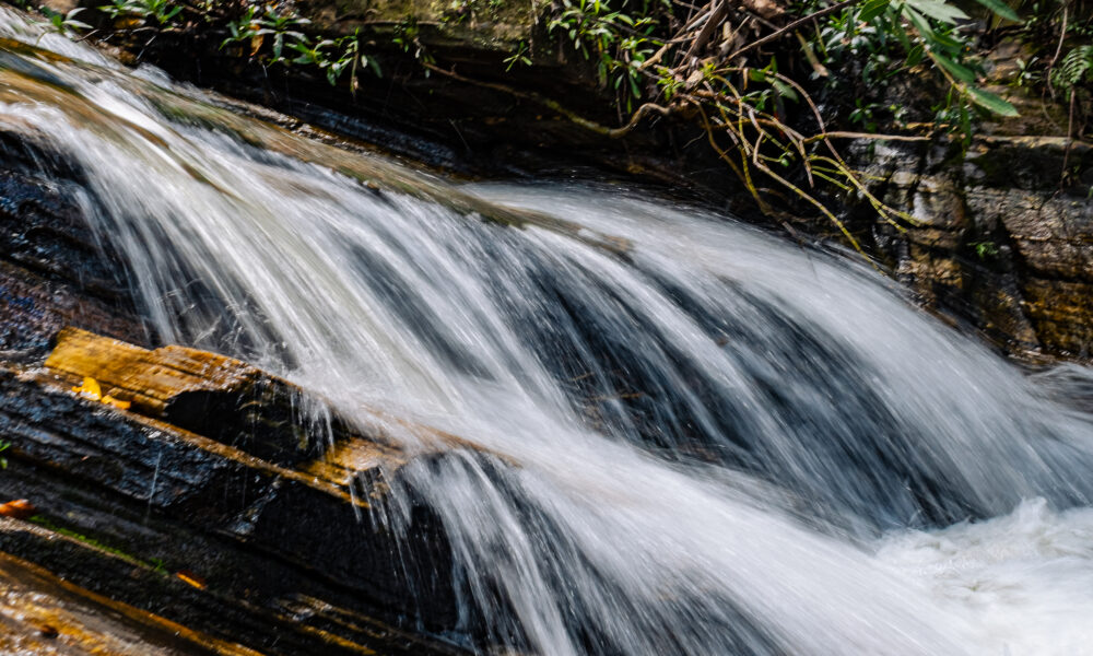 As melhores trilhas de Pirenópolis com dicas do guia Luiz Triers - DSC00322