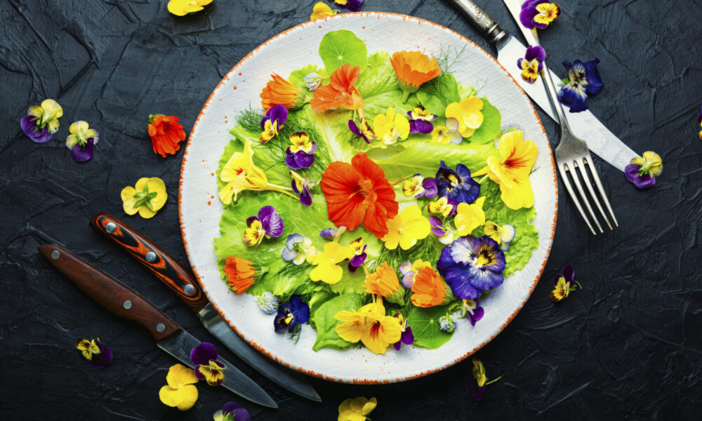 Sexta PANC na COEPi ensina cultivo e receitas com PANCs em Pirenópolis - Fig 1 pancs 1536x1022 1