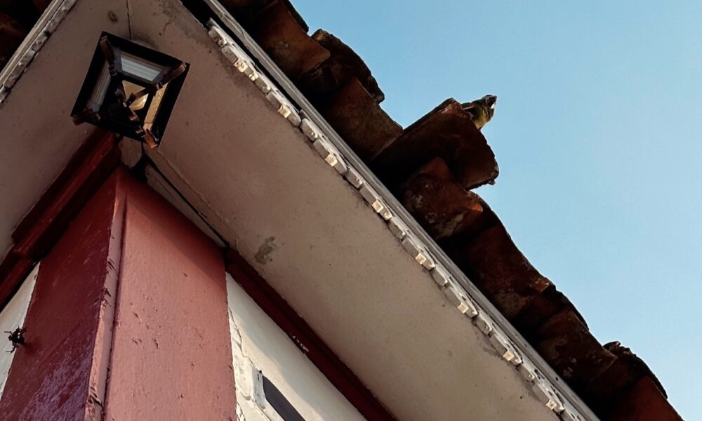 Arquitetura colonial de Pirenópolis resiste ao passar dos séculos - IMG 9099