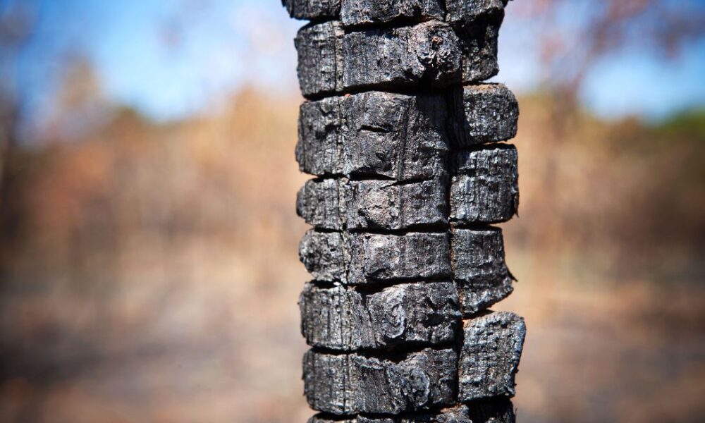 Último foco de incêndio é eliminado em Pirenópolis - jii 2025 09 03T162915.867