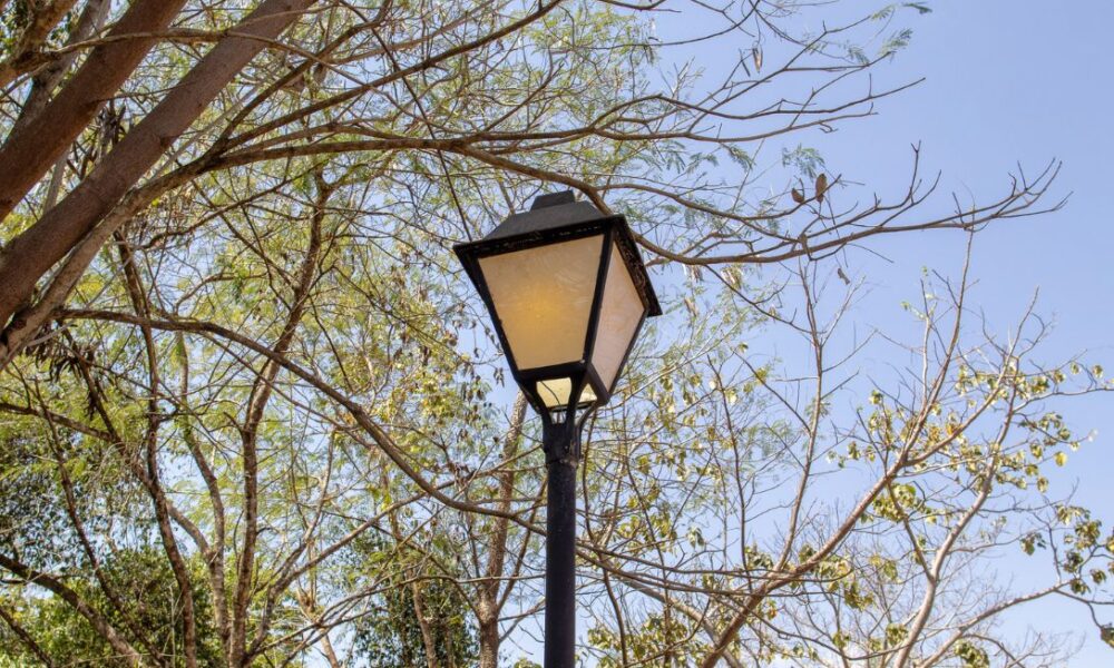 Postes coloniais: símbolos vivos da identidade de Piri - jii 2025 09 07T092739.558