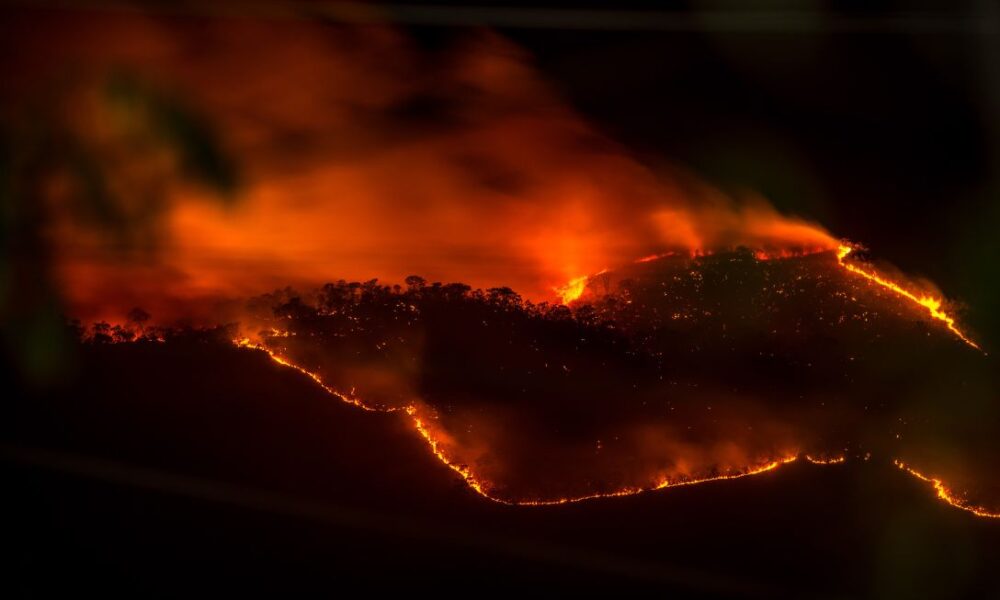Pirenópolis sangra! - jii 2025 09 09T121401.609