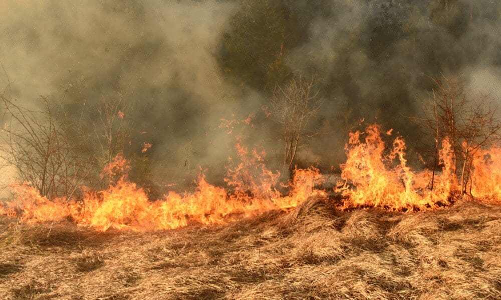 Fogo em Pirenópolis fecha cachoeira e ameaça interditar outras - jii 30
