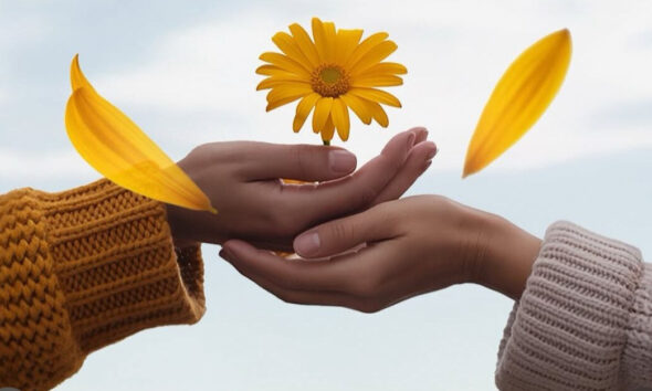 Prefeitura promove grupos para combater solidão e isolamento 2 Prefeitura promove grupos para combater solidão e isolamento - 1186c8dd f065 4356 9d3b be1d226c993f