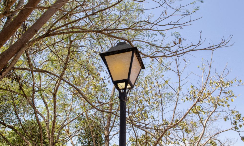 Poste colonial de Pirenópolis em meio ao Cerrado - 33