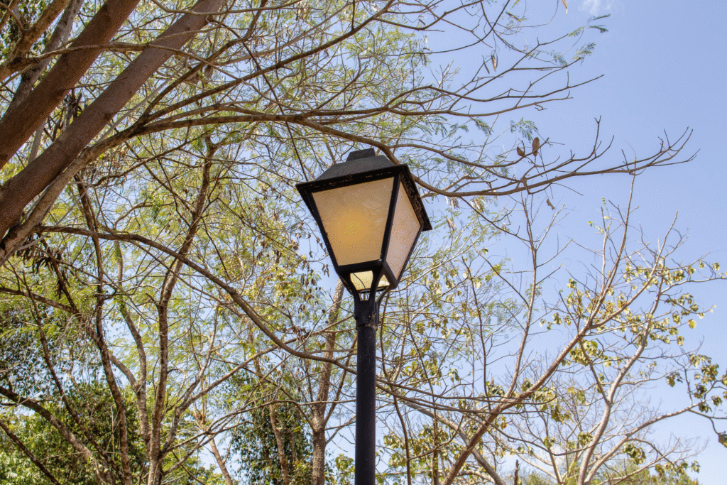 Poste colonial de Pirenópolis em meio ao Cerrado - 33