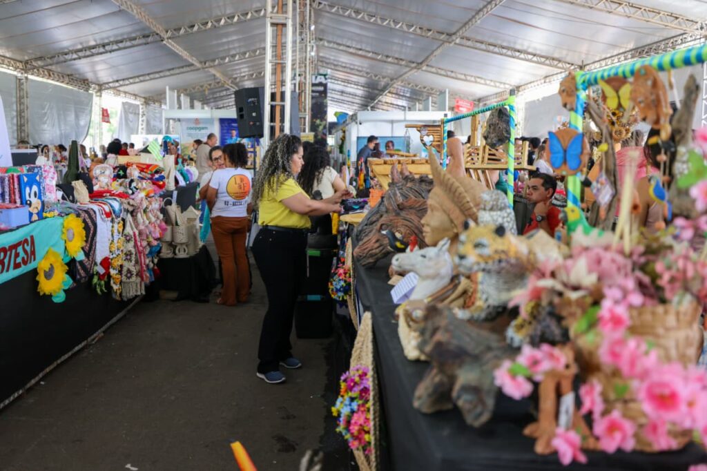 Pirenópolis Brilha na Feira No Entorno Tem em Brasília - 3a feira NoEntornoTem Secom 5