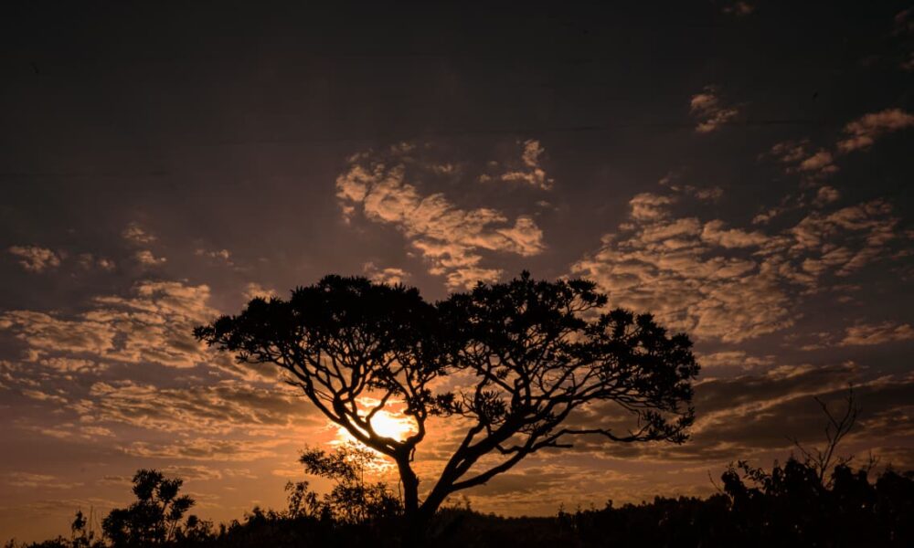 Pôr do sol no Cerrado: Especial em Pirenópolis e Goiás - 73d17af2 f3f3 493c be48 8340138ee0a9