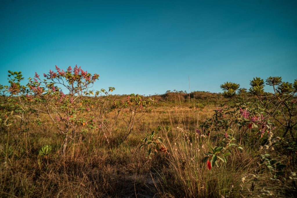 Pôr do sol no Cerrado: Especial em Pirenópolis e Goiás - 8ed03f8e 92f7 4938 82b1 76ca851c5190