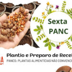 Sexta PANC na COEPi: Plantio e Receitas com Plantas Nativas - 92a4826c 1093 4912 8a4f 6676ae82592a