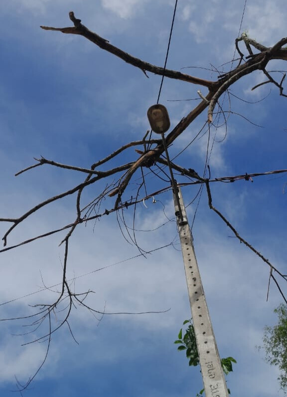 Moradora denuncia demora da Equatorial após temporal - 9ee6c75a 810b 4ae9 8e6b 97435d3158f3