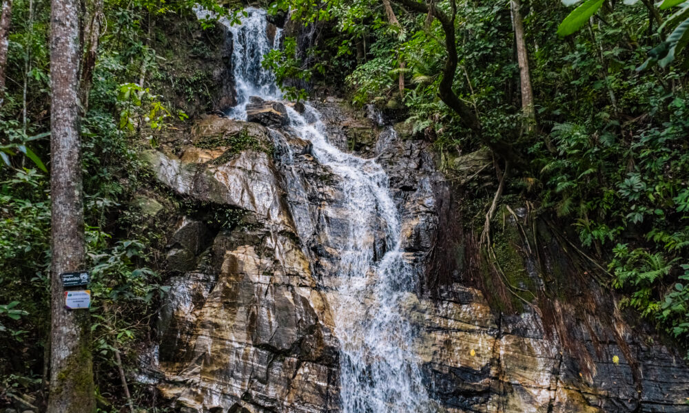 10 cachoeiras incríveis para conhecer em Pirenópolis - DSC00234
