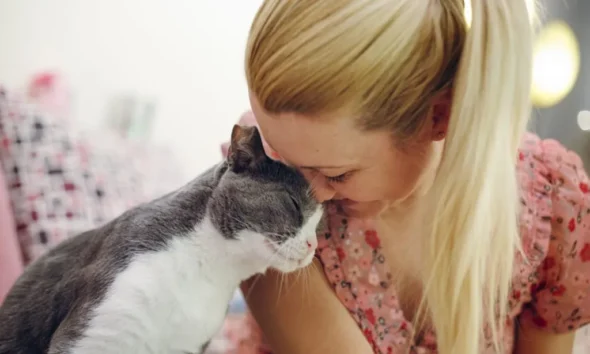 Convivência com gatos transforma cérebro e reduz o estresse - GettyImages 1388993302 e1689025839550