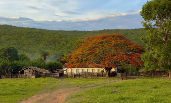 Zona rural de Pirenópolis: fazendas e histórias que encantam - IMG 2453
