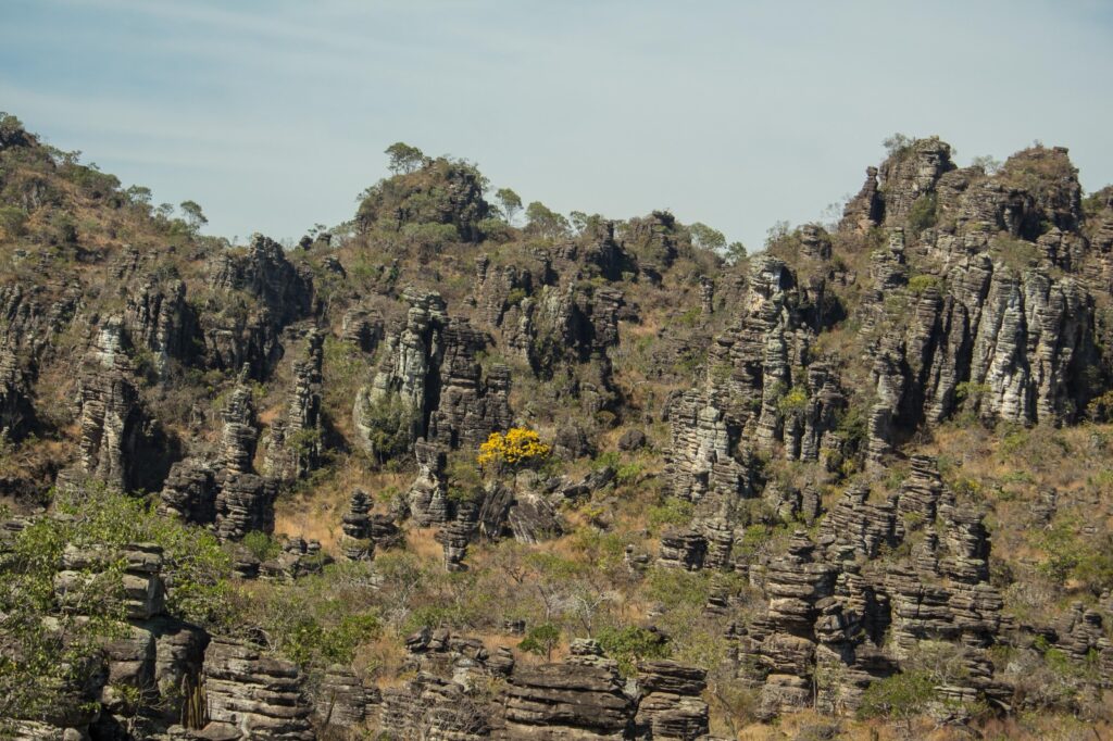 Cabeça de Pedra intriga visitantes na Cidade de Pedra de Pirenópolis - Imagem do WhatsApp de 2025 08 16 as 11.44.26 3a2282d2