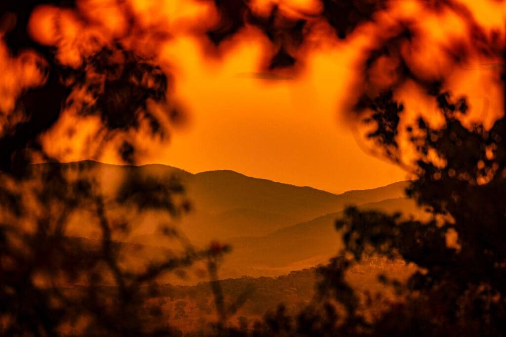 Horizonte Dourado: o Cerrado em tons laranja ao entardecer - Imagem do WhatsApp de 2025 09 29 as 07.47.15 8b05d4c4