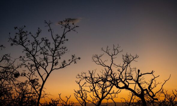 Pôr do sol no Cerrado revela silhuetas e tons dourados em Pirenópolis - Imagem do WhatsApp de 2025 09 29 as 07.47.16 c68165dd