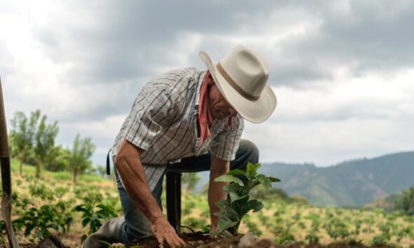 Emater Reduz Insegurança Alimentar em Goiás 1 Emater Reduz Insegurança Alimentar em Goiás - WhatsApp Image 2021 07 09 at 15.36.47 1200x600 c default 1