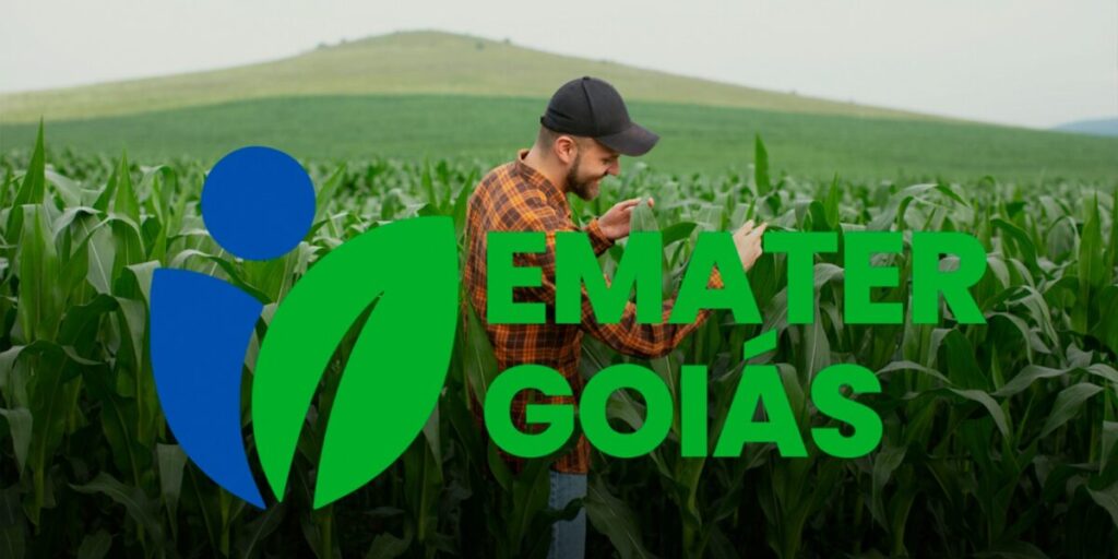 Emater Reduz Insegurança Alimentar em Goiás - WhatsApp Image 2024 06 20 at 14.22.00 1200x600 c default