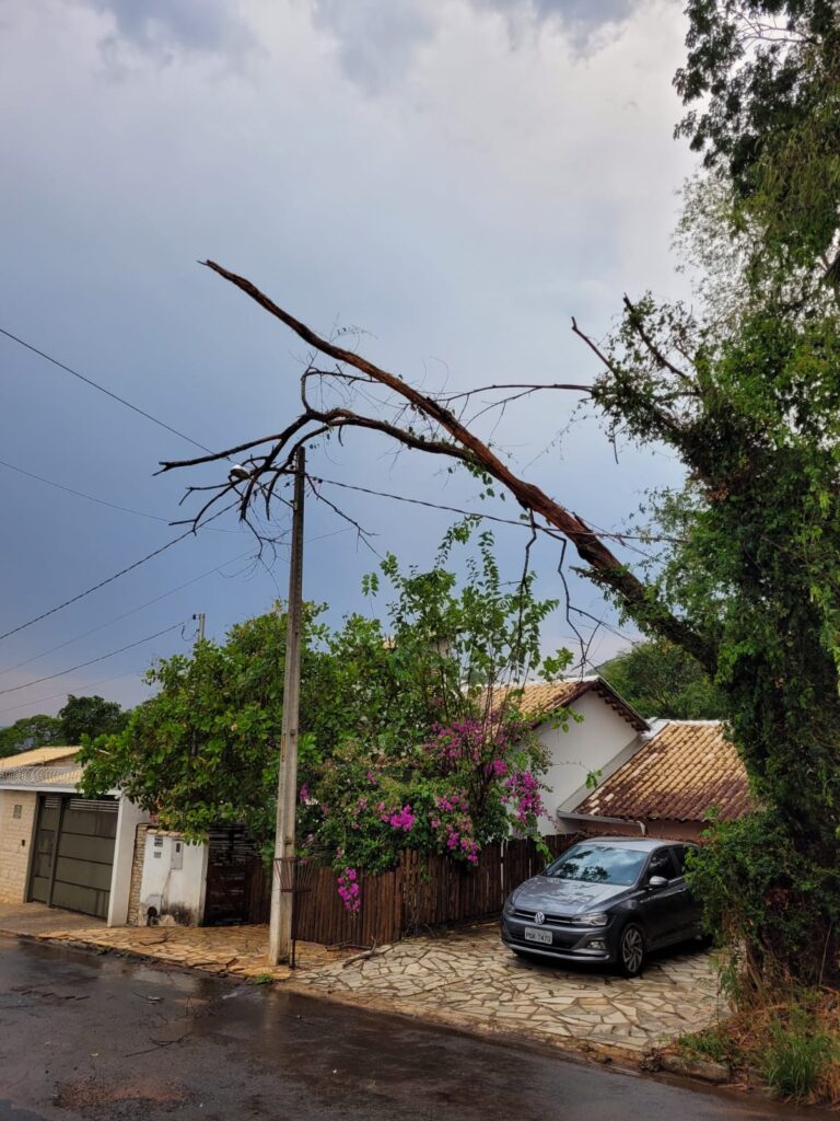 Moradora denuncia demora da Equatorial após temporal - WhatsApp Image 2025 10 21 at 16.38.16