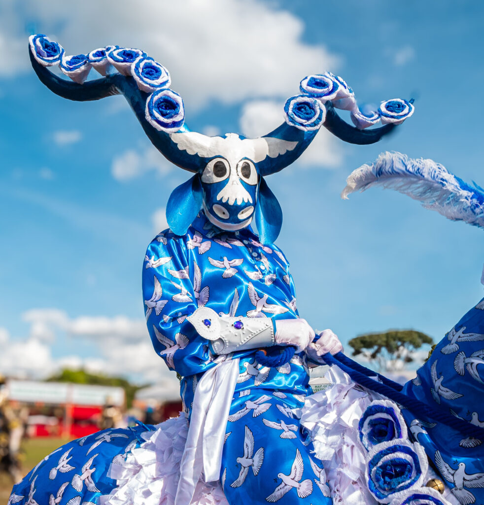 Pirenópolis ganha visibilidade em jornal português de renome 3 Pirenópolis ganha visibilidade em jornal português de renome - YAN7792