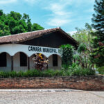 Câmara realiza audiência sobre atualização da Lei Orgânica - YAN8394