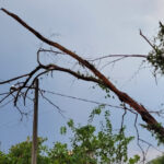 Moradora denuncia demora da Equatorial após temporal - b6d82c5b a2d2 46a9 bc08 3fa16a6bddb0