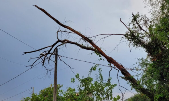 Moradora denuncia demora da Equatorial após temporal 1 Moradora denuncia demora da Equatorial após temporal - b6d82c5b a2d2 46a9 bc08 3fa16a6bddb0