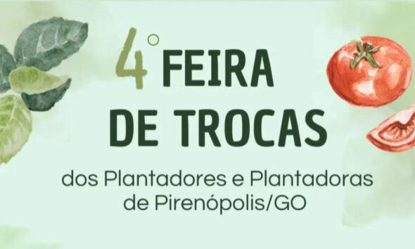 4ª Feira de Trocas reúne plantadores em Pirenópolis, Goiás - efae1334 a043 439b 9958 eca1e704db70