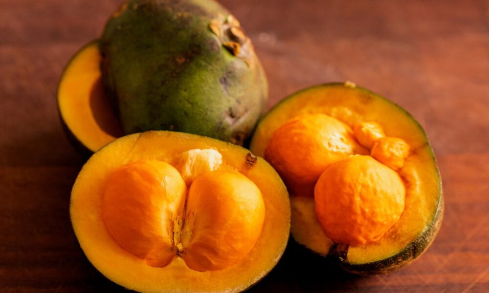 Chegou a época do pequi! O sabor do Cerrado invade Pirenópolis - jii 2025 10 22T170948.497