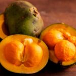 Chegou a época do pequi! O sabor do Cerrado invade Pirenópolis - jii 2025 10 22T170948.497