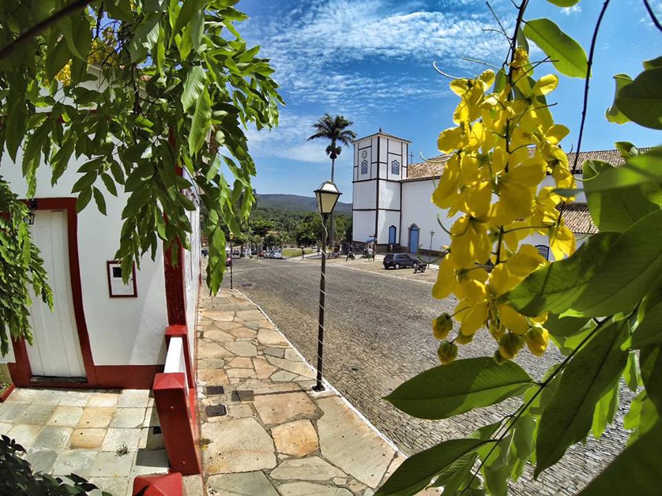 Primavera em Pirenópolis: flores desabrocham e encantam a cidade - pirenopolis flavio isaac 6c4