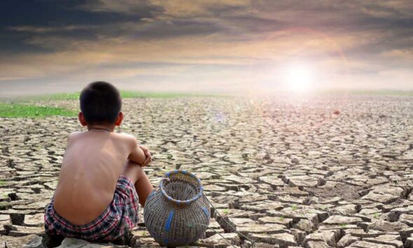 Crise hídrica no Brasil: perda de água atinge 400 mil hectares - seca