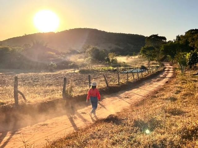 Zona rural de Pirenópolis: fazendas e histórias que encantam - terreno a venda 20000m zona rural pirenopolis go1716312243649jfguw